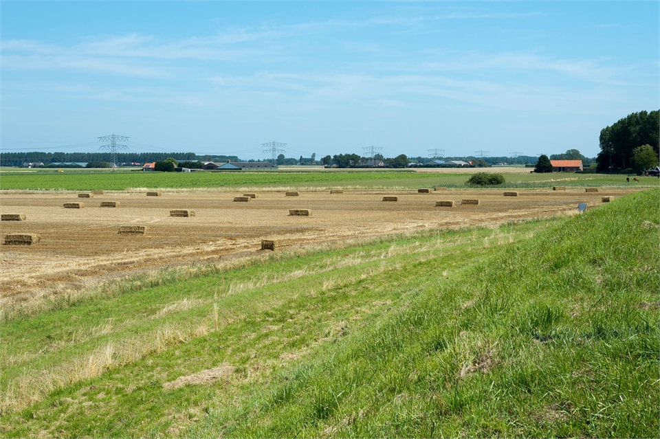im150803rp008-borsele-buitengebied-rob_1054-1920